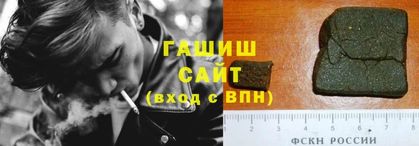 шишки Няндома
