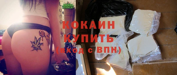мдпв Инта