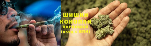 сатива Армянск