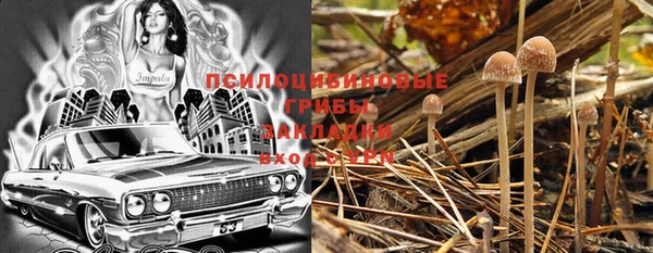 прущая мука Арсеньев