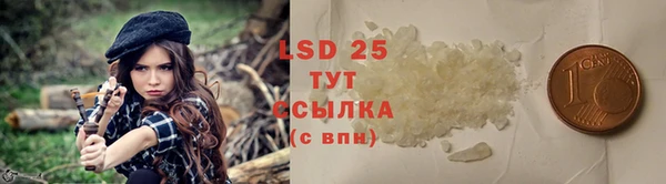 прущая мука Арсеньев