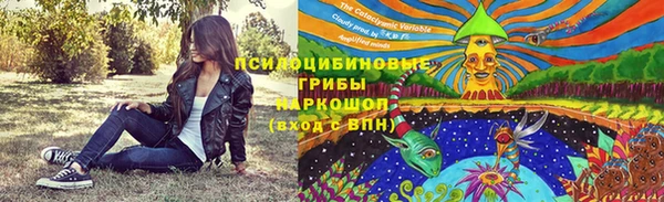 прущая мука Арсеньев