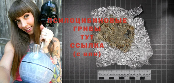 прущая мука Арсеньев