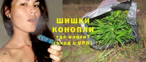 сатива Армянск