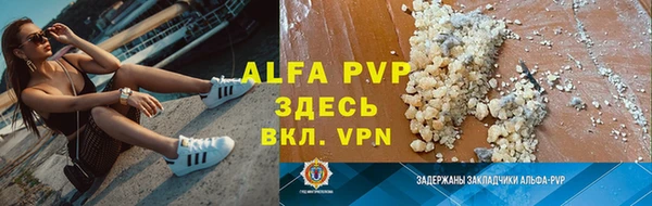 сатива Армянск