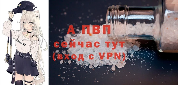 сатива Армянск