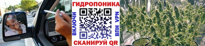 Конопля планчик  ссылка на мегу зеркало  Оха 